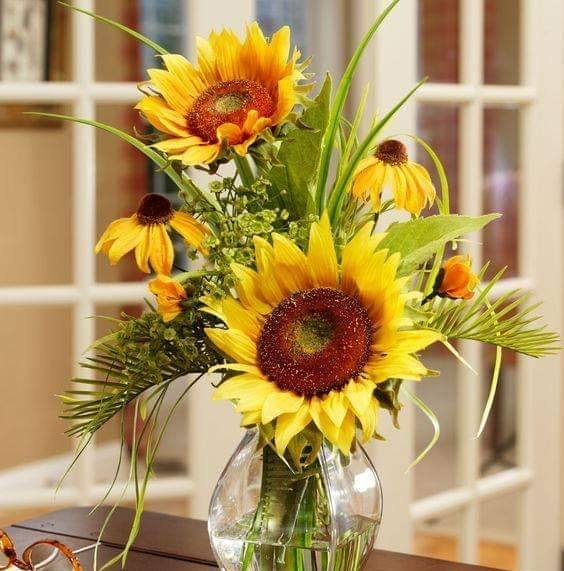 Phương Nhàn Phan Phương Nhàn Phan